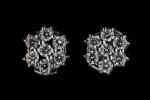 PAIRE DE BOUCLES D'OREILLES en or gris 750/°° " Fleur"...