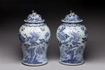 Paire de VASES cornet en porcelaine blanc-bleu à décor de...