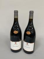 2 Magnums rouge Côtes du Rhône St Joseph Cave de...