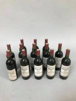 * 13 Bouteilles rouge Château Puy Beney Lafitte, 1982, Bordeaux...