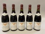 5B Rouge, Bourgogne Hautes Cotes de Nuits 2007  Domaine...