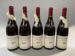 5B rouge Bourgogne Santenay, Santenay 1999, Les caves de hautes...