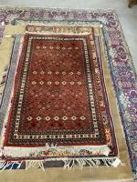 Chirvan, Azerbaidjian. TAPIS, chaîne et trame coton, velours laine. Epoque...