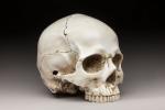 MEMENTO MORI en céramique patinée. Allemagne, époque XIXème siècle. 17...