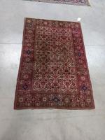 TAPIS chaine et trame coton, en laine, à motif de...