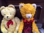 2 grands ours, l'1:peluche jaune aux yeux bleus, 3 griffes...