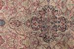 Grand TAPIS, chaine et trame coton, velours laine. Iran, Véramine....