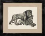 Georges Guyot (1885-1973)
« Lion et lionne »
Lithographie sur papier encadrée....