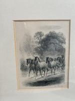 Iwan Edwin HUGENTOBLER (1886-1972)
Cheval 
dessin au crayon Signée en bas...