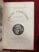 Jules VERNE : César Cascabel. 
Hetzel, Paris.
Accidents et piqures.