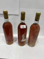 3 Bouteilles Château Rieuses, sauterie sans étiquette
4 Bouteilles vin ambré...