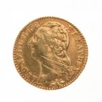 LOUIS d'or 1789 lettre D pour Lyon. Poids: 7,5 g.