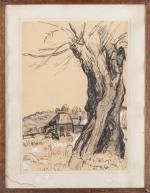 Florentin CHAUVET (1878-1958), Vieux saule à Saint-Aignan, 1950. Fusain et...